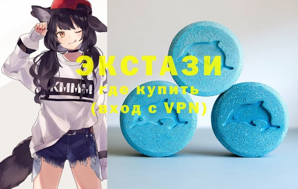 ECSTASY Богородицк