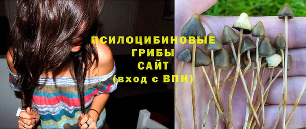 PSILOCYBIN Бронницы